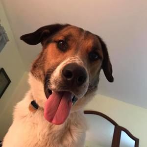 Meet your Posher, Elaine